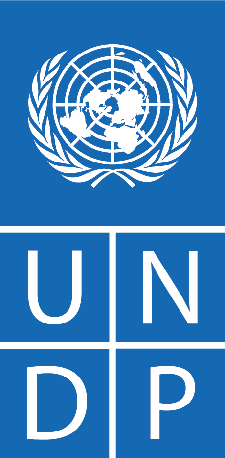 Программа развития ООН (ПРООН)